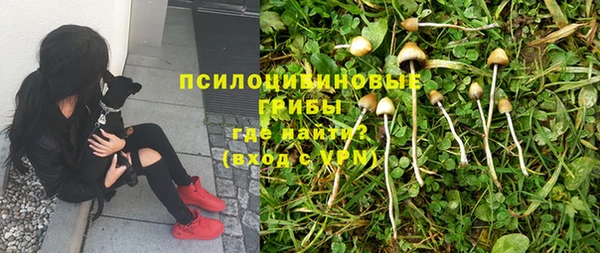 ПСИЛОЦИБИНОВЫЕ ГРИБЫ Навашино