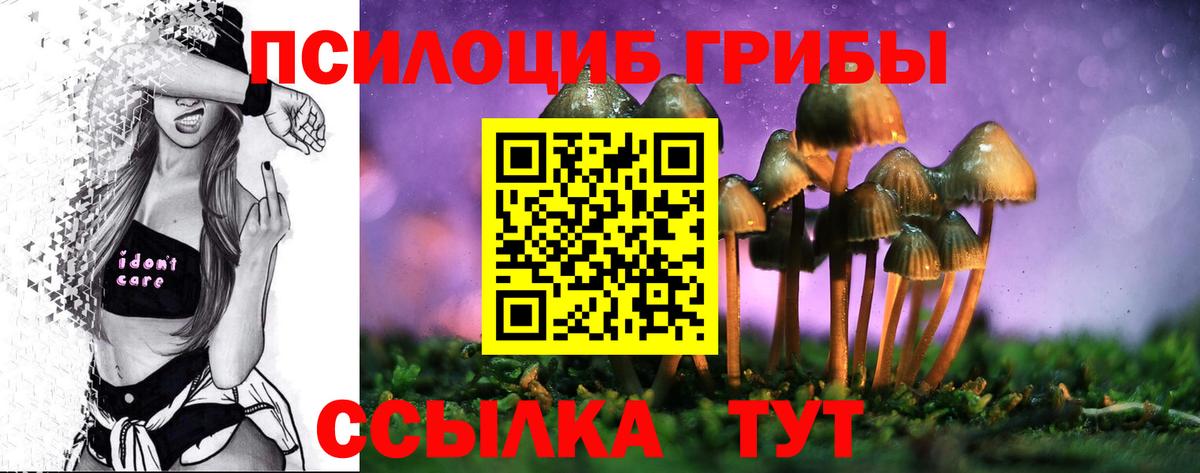 Псилоцибиновые грибы мицелий  Галлюциногенные грибы Psilocybine cubensis  Вход с VPN  Топки 
